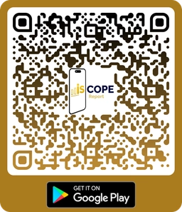 Report Google Play QR